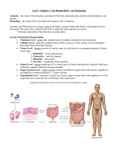 A & P - Chapter 1: The Human Body - An Orientation Anatomy