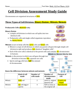 Cell Cycle and Mitosis ppt Questions Cell Cycle 1. Prokaryotic