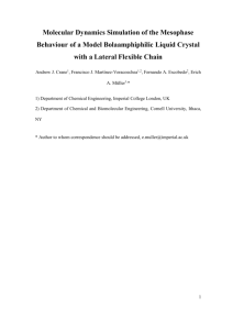 Molecular Dynamics Simulation of the Mesophase Behavior