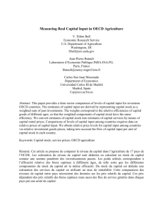 2. Measuring Capital Input - Universidad Carlos III de Madrid