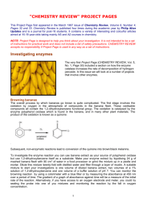 "CHEMISTRY REVIEW" PROJECT PAGES