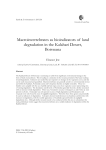 Investigating the Abundance and Diversity of Macroinvertebrates in