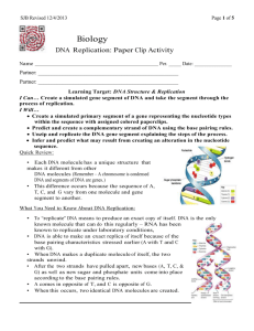 DNA Replication Paper Clip Lab