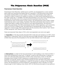 Polymerase Chain Reaction Handout