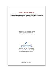 Traffic Grooming in Optical WDM Networks
