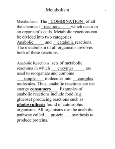 Metabolism: The