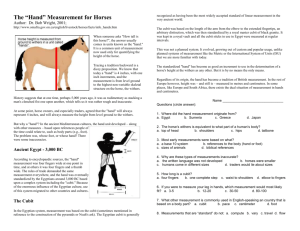 The “Hand” Measurement for Horses Author: Dr. Bob Wright, 2001