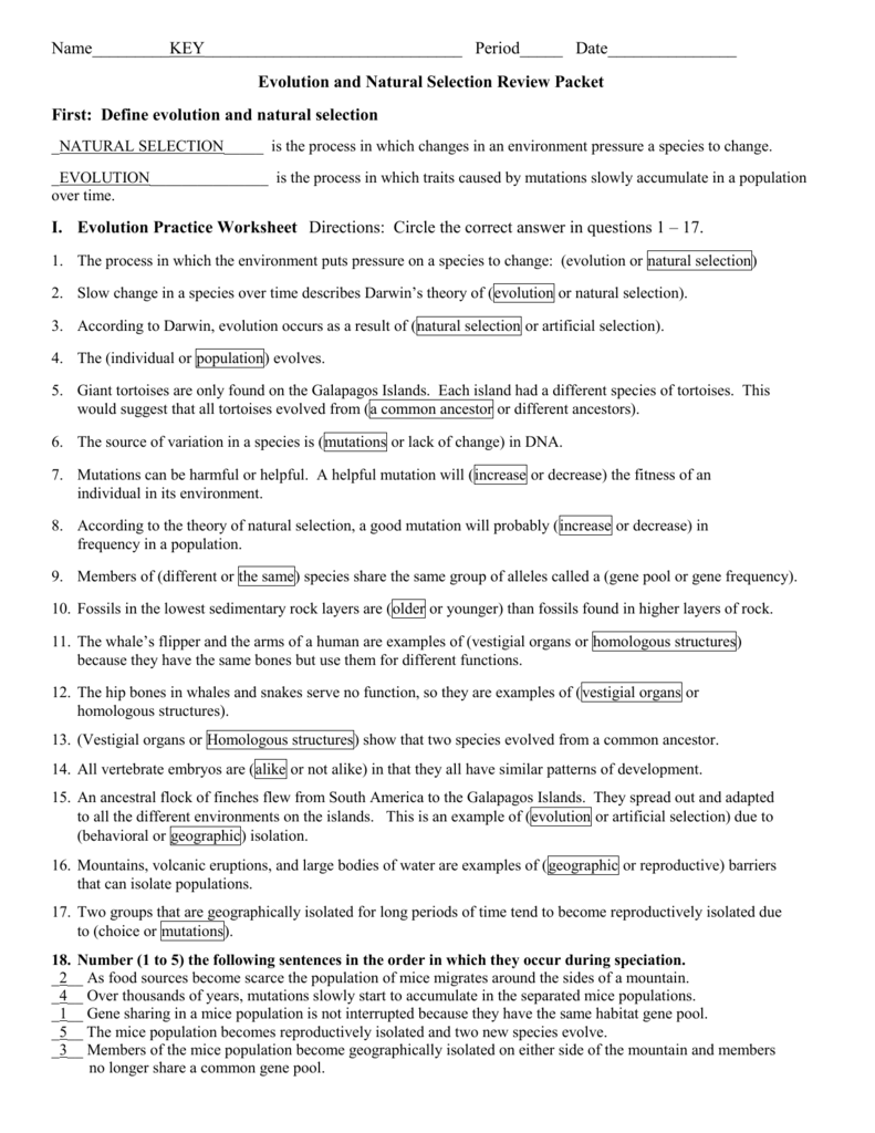 Evolution And Natural Selection Worksheet