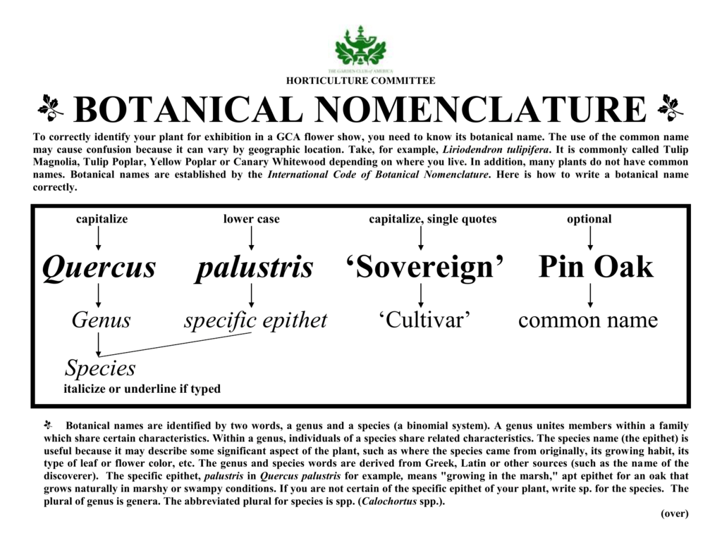 botanical-nomenclature