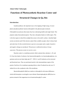 Functions of Photosynthetic Reaction Center and Structural
