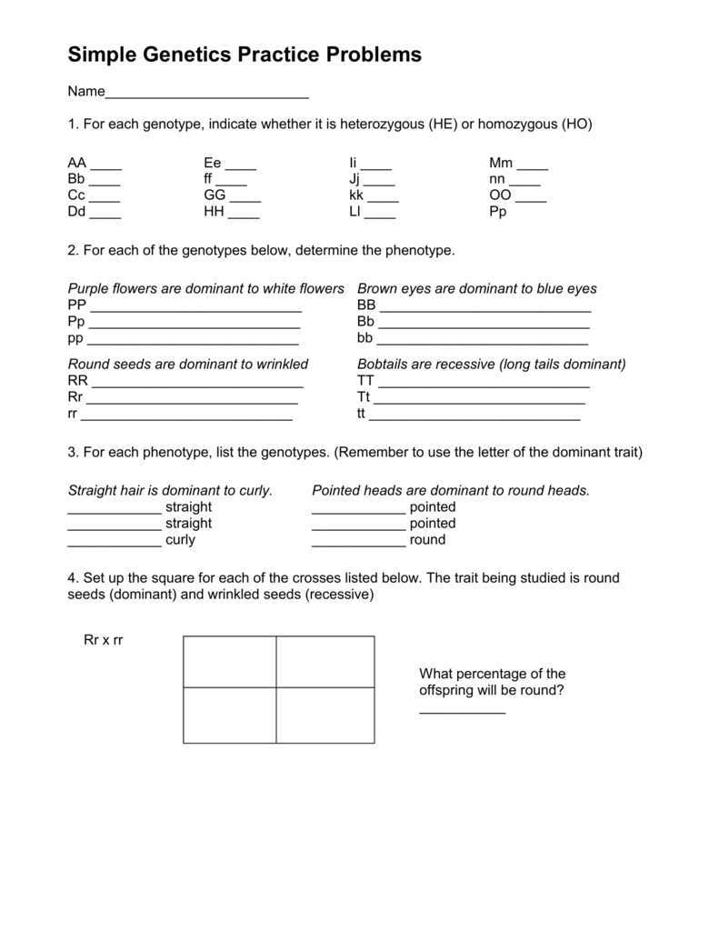 Simple Genetics Practice Problems With Genetics Practice Problems Worksheet