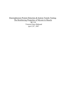 Instron Tensile Testing & Electrophoresis Protein Detection