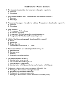 Structure and Function of the Genetic Material