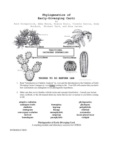 Phylogenetics of Cacti-Lab Exercise copy
