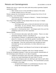 Meiosis and Gametogenesis