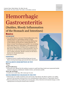 hemorrhagic_gastroenteritis