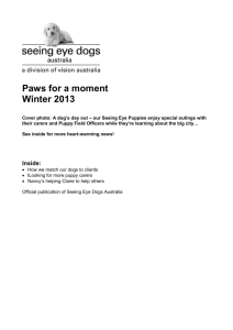 Meet & greet our puppies - Seeing Eye Dogs Australia