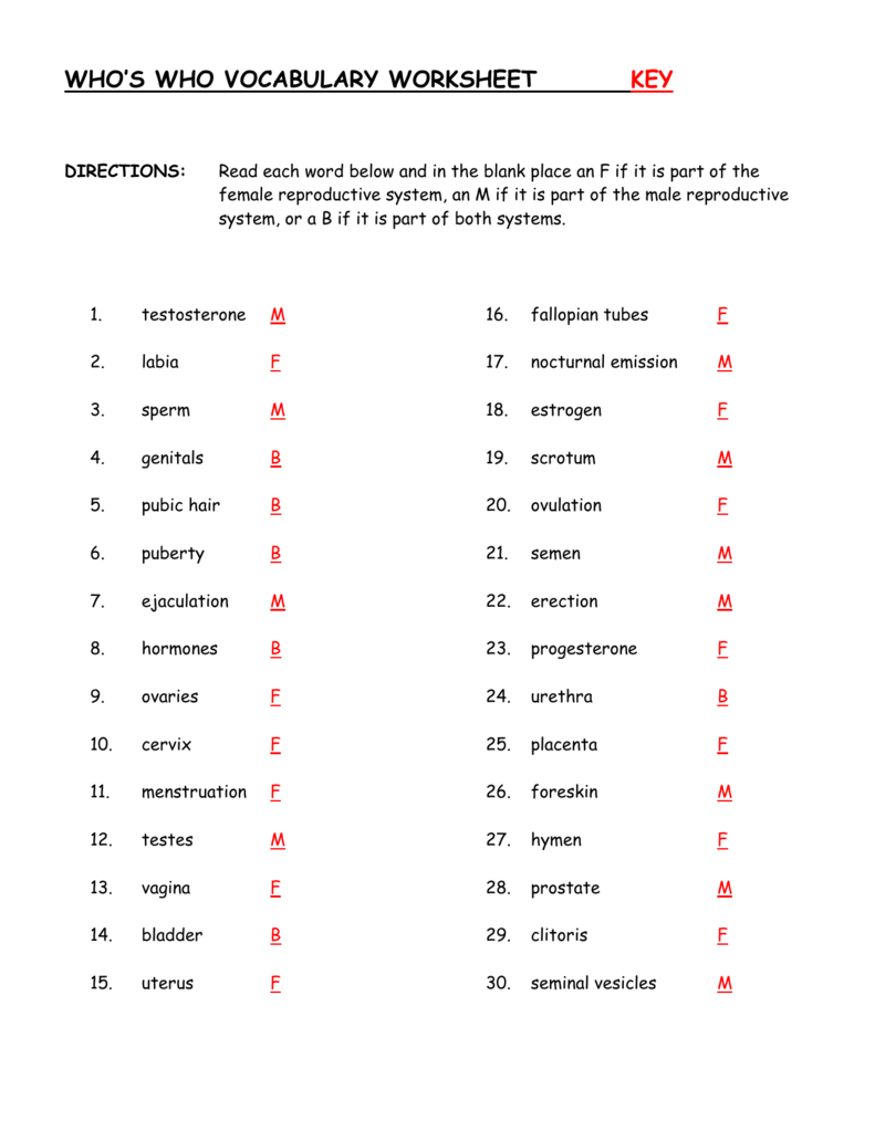 Who`s Who Vocab.
