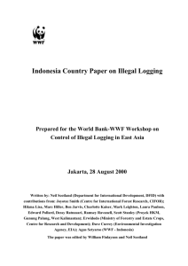 Draft outline for Indonesia Country Paper, World Bank