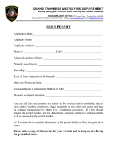 filling out this printable form Burn Permit