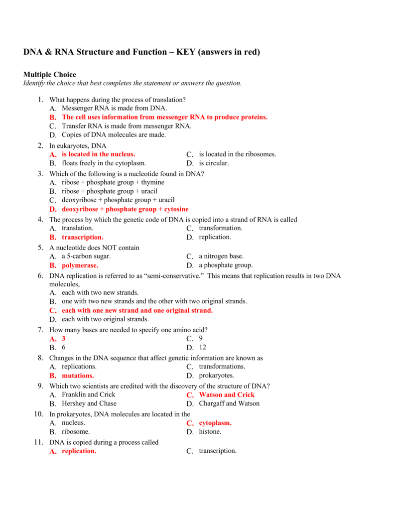 DNA & RNA Structure and Function With Dna And Rna Worksheet Answers