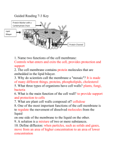 Guided Reading 7-3 Key 1. Name two functions of the cell