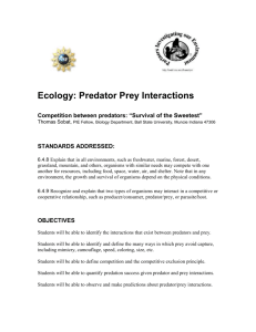 Ecology: Predator Prey Interactions