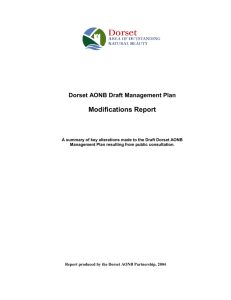 Dorset AONB Draft Management Plan