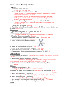 Cell Cycle, Chromosomes, Mitosis & Meiosis – Test Study Guide