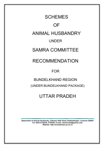 Animal Husbandry - Planning Department