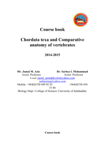 Course book Chordata texa and Comparative anatomy of