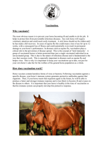 Vaccination - The Acorns Equine Clinic