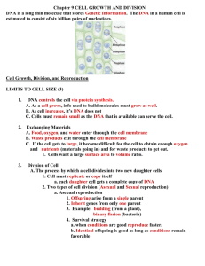 CELL GROWTH AND DIVISION (Overhead Version)