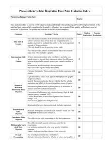 Evaluation Rubric for Science PowerPoint Presentation