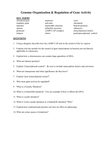 questions-reg of gene activity - AP-Science-Experience-JMHS