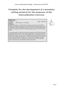 Template for the development of a boundary setting protocol