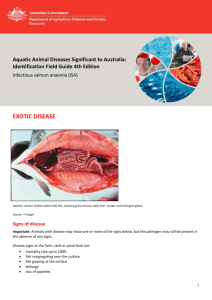 Infectious salmon anaemia (ISA)