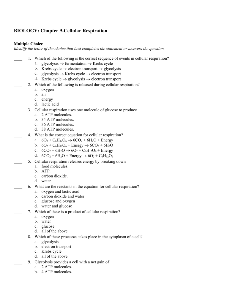 BIOLOGY Chapter 9 Cellular Respiration
