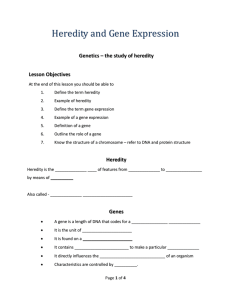 Heredity & Gene Worksheet