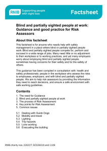 Blind and partially sighted people at work - Guidance and