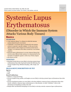 systemic_lupus_erythematosus