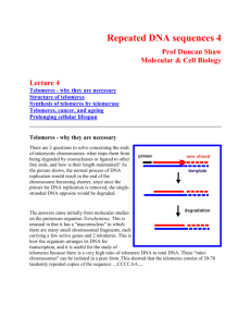 Repeated DNA sequences