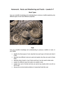 Mid-Topic Test: Topic 8, Weathering and Fossils