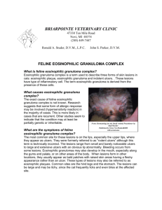 Feline Eosinophilic Granuloma Complex