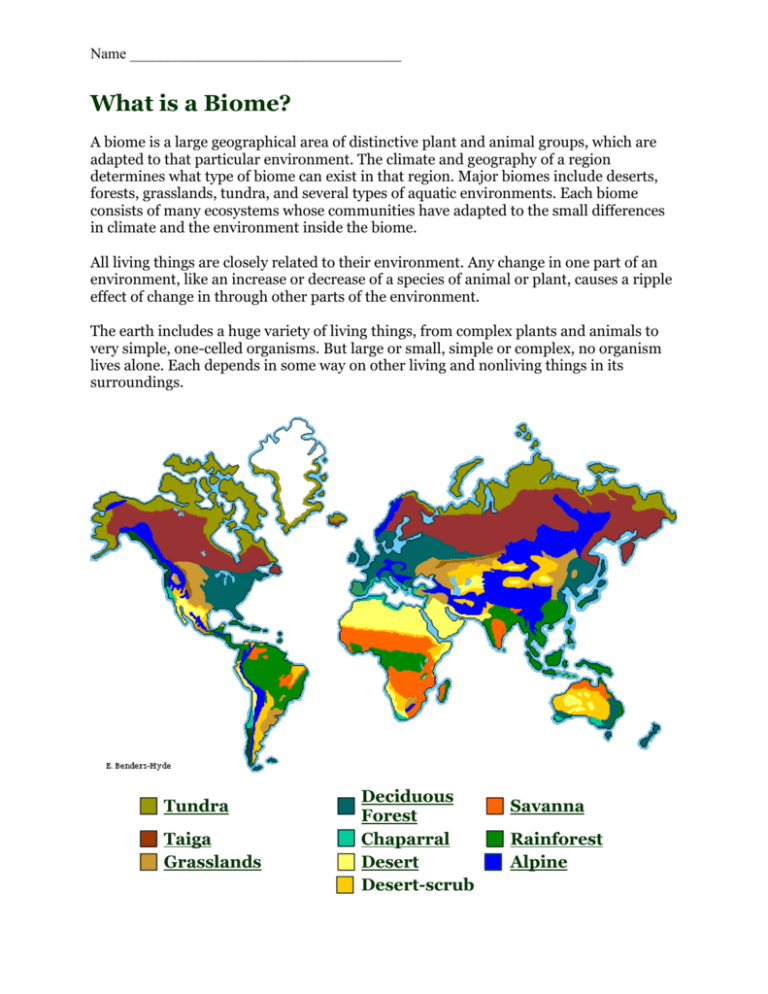 What is a Biome