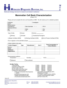 Mammalian Cell Bank Characterization Form (YY)