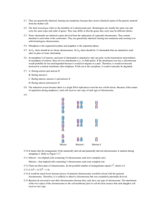 membrane	chromosome