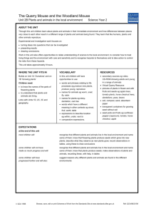 Unit 2B Plants and animals in the local environment