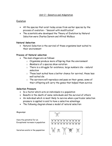 Unit 2 – Genetics and Adaptation