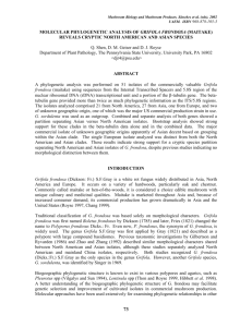 molecular phylogenetic analysis of grifola frondosa (maitake)